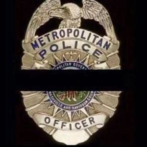 Meet your Posher, Rodney